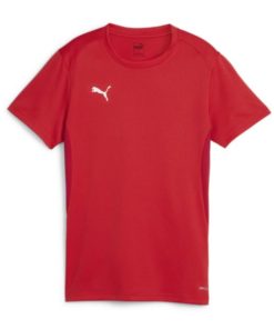 Puma  Teamgoal Jersey Wmn