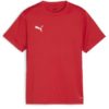 Puma  Teamgoal Jersey Jr