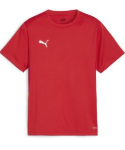 Puma  Teamgoal Jersey Jr