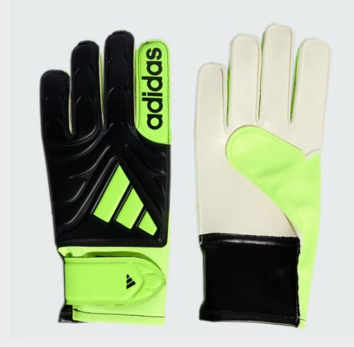 Adidas  Copa Gl Clb J