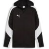 Puma  Teamevostripe Hooded Jacket