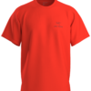 ArcTeryx  Kragg SL Cotton Bird Word SS M