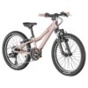 Scott  Contessa 20