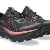 Asics  FUJISETSU MAX GTX Dame