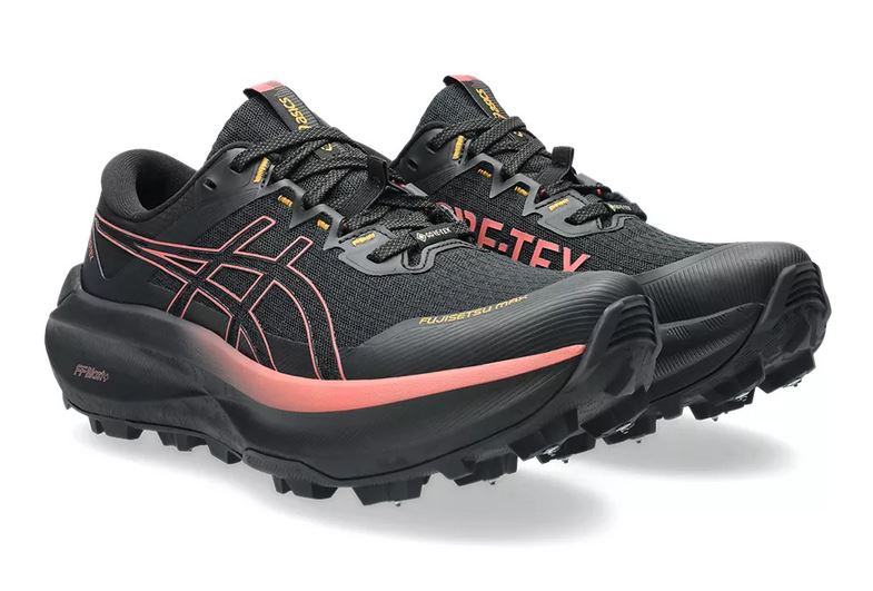 Asics FUJISETSU MAX GTX Dame