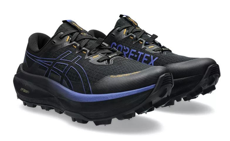 Asics FUJISETSU MAX GTX