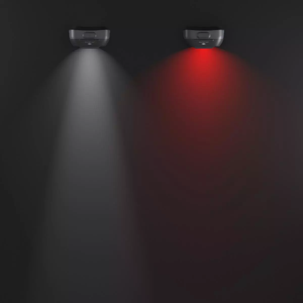 gallery-1254-for-2058438