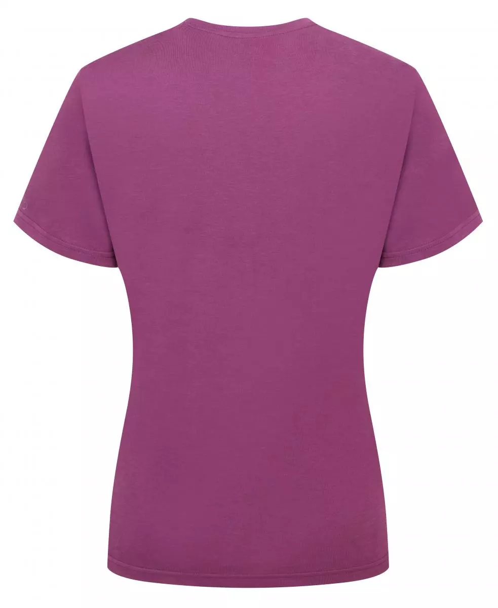 gallery-1309-for-1979518