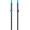 Black Diamond  Expedition Ski Poles