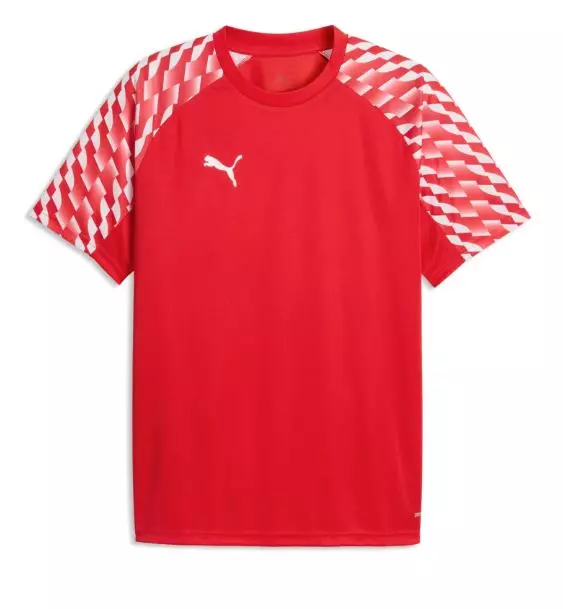Puma  Teamliga26 Jersey