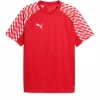 Puma  Teamliga26 Jersey Jr