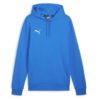 Puma Teamgoal Casuals Hoody Jr