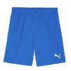 Puma Teamgoal Shorts
