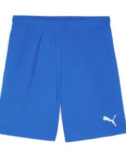 Puma  Teamgoal Shorts
