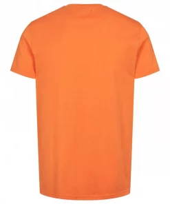 gallery-1625-for-2057378