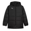 Puma teamADDITIONS Bench Jacket Jr