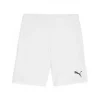Puma  Teamgoal Shorts
