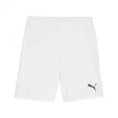 Puma  Teamgoal Shorts