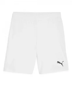 Puma  Teamgoal Shorts