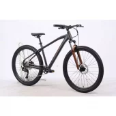 gallery-1938-for-2113919