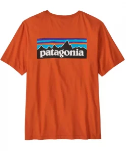 Patagonia  M´S P-6 Logo T-Shirt
