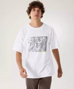 gallery-2149-for-2032289