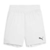 Puma  Teamgoal Shorts Jr