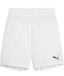 Puma  Teamgoal Shorts Jr
