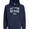 JACK & JONES JORNORGE SWEAT HOOD SMU