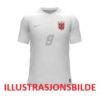 Nike NOR M NK DF JSY SS STAD 3RD