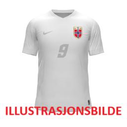 Nike NOR Y NK DF JSY SS STAD 3RD