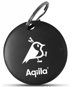 Aqiila  Tagbird