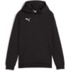Puma  Teamgoal Casuals Hoody Jr