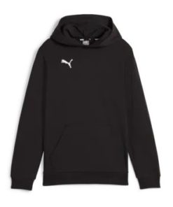 Puma  Teamgoal Casuals Hoody Jr