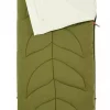 Coleman  Maranta L