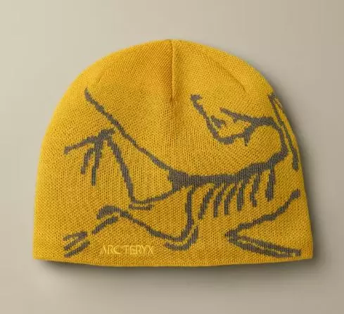ArcTeryx Bird Head Toque