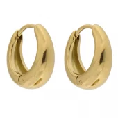 Øreringer fg.stål 15ø chunky hoops