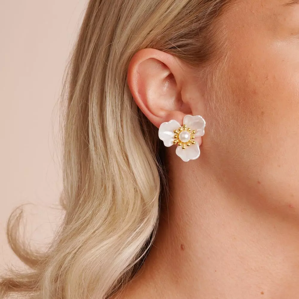 gallery-2006-for-13616600362