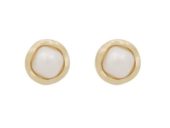 Ørepynt "gull" Kitty 5mm hvit perle i organisk fattekant