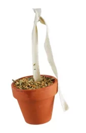 JR Birds Clay pot for budgerigars & kanaries 80 g (6)