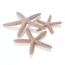 biOrb Starfish set 3 natural
