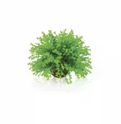 biOrb Flower ball green PL31 (4)