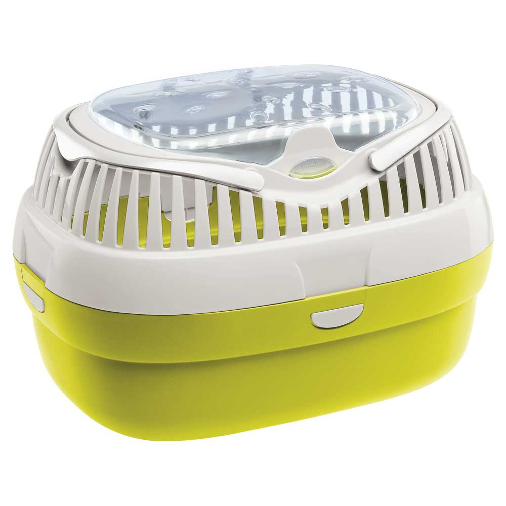 Aladino large  (3)