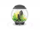 biOrb HALO 30 LED grey G4600