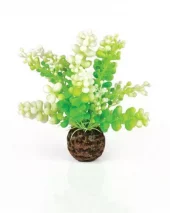 biOrb Aquatic Caulerpa green PL34