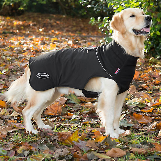 Scruffs Quilted Thermal Dog Coat Black 50cm (3)(Utgått)