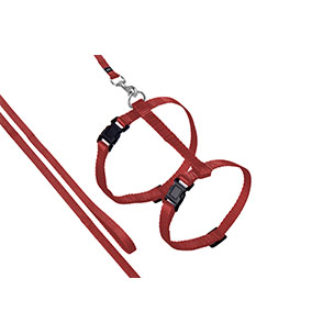 ASP CAT HARNESS+LEASH RED 110CM