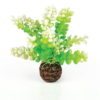 biOrb Aquatic Caulerpa green PL34