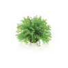 biOrb Flower ball green PL31 (4)