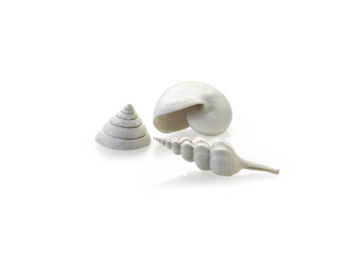 biOrb Sea shell set 3 white ORN SEASHELLS